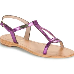 Les Tropéziennes par M Belarbi - HAMAT Violet