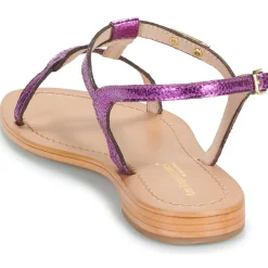 Les Tropéziennes par M Belarbi - HAMAT Violet