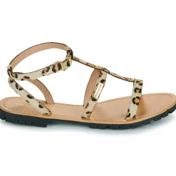 Les Tropéziennes par M Belarbi - HEXOM Léopard