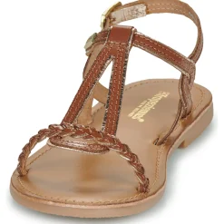 Les Tropéziennes par M Belarbi - BAPPY Cognac Sale