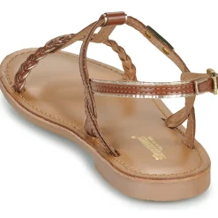 Les Tropéziennes par M Belarbi - BAPPY Cognac Sale