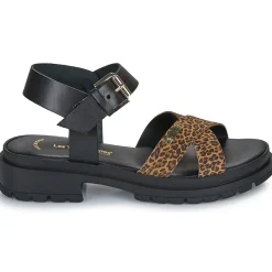 Les Tropéziennes par M Belarbi - TIHALEO