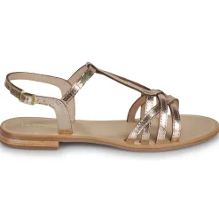 Les Tropéziennes par M Belarbi - HASTRO Doré Best