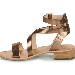 Hot Les Tropéziennes par M Belarbi - HOCEAN Bronze