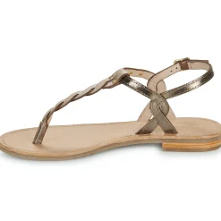 Best Les Tropéziennes par M Belarbi - HAMSONG