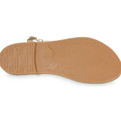 Les Tropéziennes par M Belarbi - HARVIL