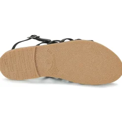 Online Les Tropéziennes par M Belarbi - HERILO Noir