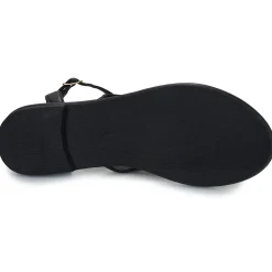 Les Tropéziennes par M Belarbi - OBALY Noir Discount