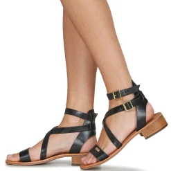 Outlet Les Tropéziennes par M Belarbi - HOCEAN Noir