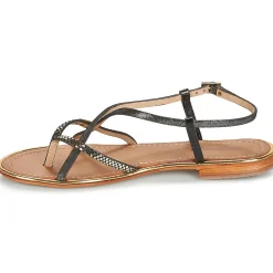 Les Tropéziennes par M Belarbi - MONACODE Noir New