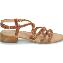 Les Tropéziennes par M Belarbi - HAPIRON Online