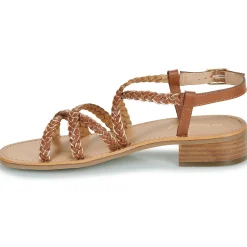 Les Tropéziennes par M Belarbi - HAPIRON Online