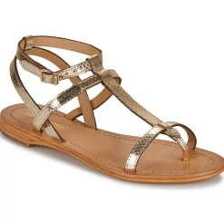 Les Tropéziennes par M Belarbi - HILAN Doré Outlet