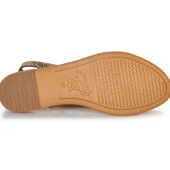 Les Tropéziennes par M Belarbi - HILAN Doré Outlet