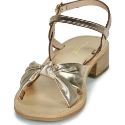 Les Tropéziennes par M Belarbi - HIRKA Doré Hot