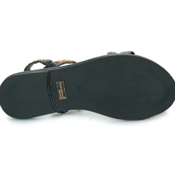 Les Tropéziennes par M Belarbi - OBALINA