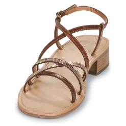 Les Tropéziennes par M Belarbi - HARRYNA Online