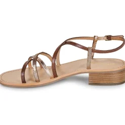 Les Tropéziennes par M Belarbi - HARRYNA Online