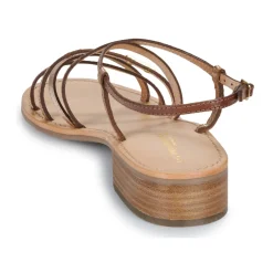 Les Tropéziennes par M Belarbi - HARRYNA Online