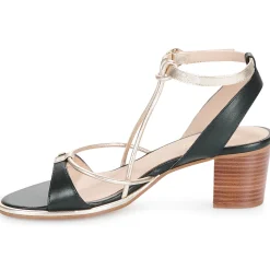 Les Tropéziennes par M Belarbi - LILON