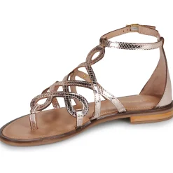 New Les Tropéziennes par M Belarbi - HARABESQUE