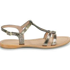 Les Tropéziennes par M Belarbi - HACKLIO Discount