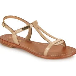 Les Tropéziennes par M Belarbi - HAMAT ORSERPENT Online