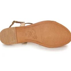 Les Tropéziennes par M Belarbi - HAMAT ORSERPENT Online