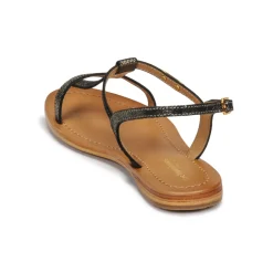 Les Tropéziennes par M Belarbi - HAMAT Noir New