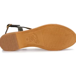 Les Tropéziennes par M Belarbi - HAMAT Noir New