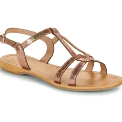 Les Tropéziennes par M Belarbi - HACKLIO Rosedoré New