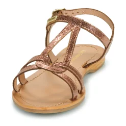 Les Tropéziennes par M Belarbi - HACKLIO Rosedoré New