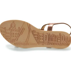 Les Tropéziennes par M Belarbi - HACKLIO Rosedoré New