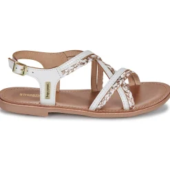 Les Tropéziennes par M Belarbi - BOMONGO