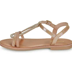 Online Les Tropéziennes par M Belarbi - BADA