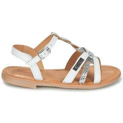 Les Tropéziennes par M Belarbi - BADAMI