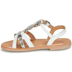 Les Tropéziennes par M Belarbi - BADAMI