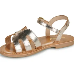 Les Tropéziennes par M Belarbi - BAMIA Doré Online