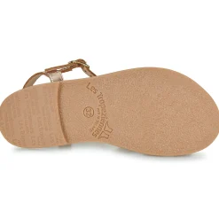 Les Tropéziennes par M Belarbi - BAMIA Doré Online