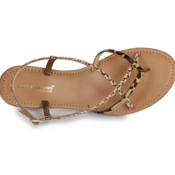 Sale Les Tropéziennes par M Belarbi - MONATRES Léopard