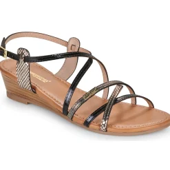 New Les Tropéziennes par M Belarbi - HARO