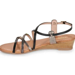 New Les Tropéziennes par M Belarbi - HARO