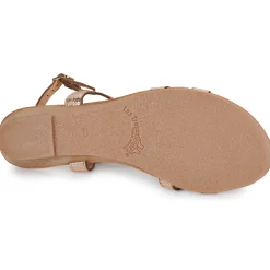 Les Tropéziennes par M Belarbi - HACTRESS Doré Discount