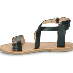 New Les Tropéziennes par M Belarbi - HIPAZ