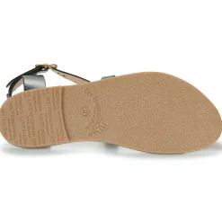 New Les Tropéziennes par M Belarbi - HIPAZ