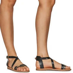 New Les Tropéziennes par M Belarbi - HIPAZ