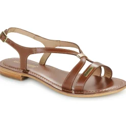 New Les Tropéziennes par M Belarbi - HAMOON Cognac