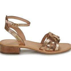 Les Tropéziennes par M Belarbi - HIREEN