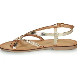 Les Tropéziennes par M Belarbi - CHOU Doré Hot