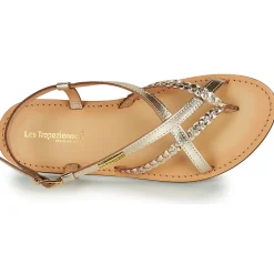 Les Tropéziennes par M Belarbi - CHOU Doré Hot